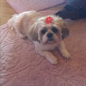 Meet your Posher, Becky